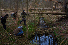 März 2022 im Naturschutzgebiet