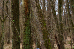 März 2022 im Naturschutzgebiet