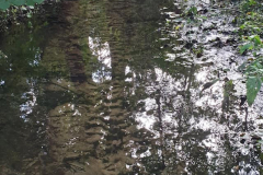 Pferdebach