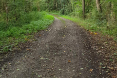 noch Waldweg...