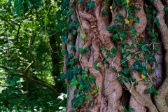 Naturschutzgebiet Pferdebach