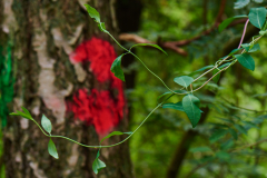 Am Naturschutzgebiet Pferdebach