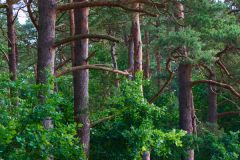 Am Naturschutzgebiet Pferdebach