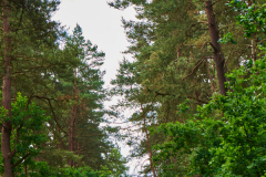 Am Naturschutzgebiet Pferdebach