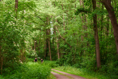 Naturschutzgebiet Pferdebach