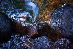 Naturschutzgebiet Pferdebach
