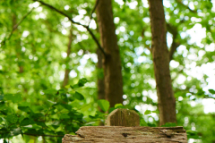 Naturschutzgebiet Pferdebach