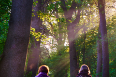 Ende Mai: Ein Morgen im Wald