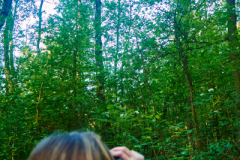 Ende Mai: Ein Morgen im Wald