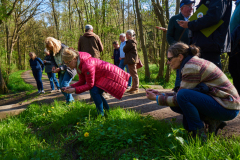 2. Begehung zwischen FFH-Gebiet und Kiesabbau