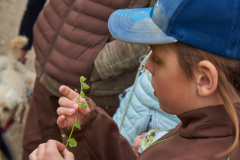"Dorfspaziergang" mit Matthias Schuh