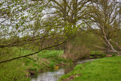 "Dorfspaziergang" mit Matthias Schuh