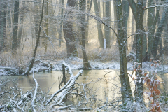 2021-01-26_11-00-53