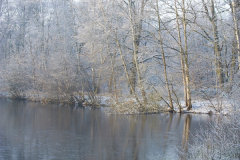 2021-01-26_11-07-12-1