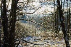 2021-01-31_11-20-08